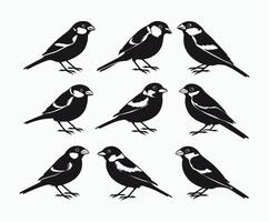 Sparrow Bird Silhouette EPS Template on a White Background vector