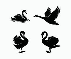 Abstract Swan Silhouette Collection Template on White Background vector