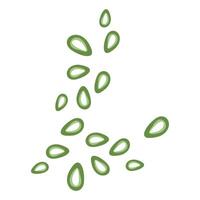 sliced of fresh spring onion vector