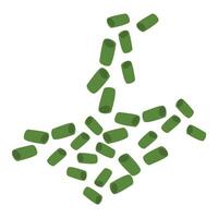 Sliced, Chopped Spring Onions, Salad Onions, vector
