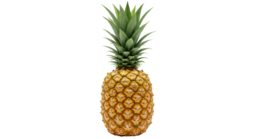 Standing pineapple with lush green crown and vibrant yellow skin set against transparency effect png