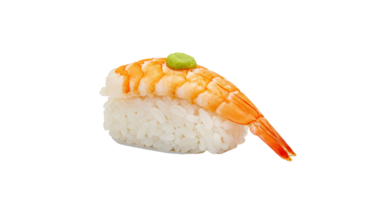 A vibrant single piece of shrimp nigiri sushi is presented against a clean transparent background. png