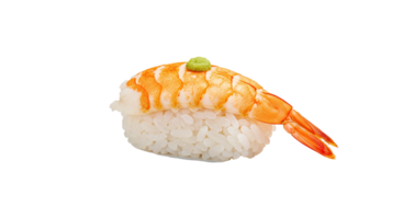 Elegant ebi nigiri sushi, featuring a vibrant orange shrimp over rice and a dab of green wasabi. png