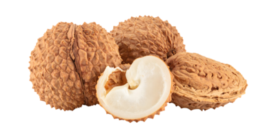 Fresh Lychee Fruits with One Cut Open png