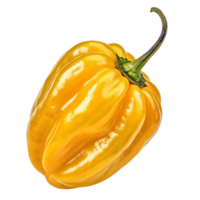 a yellow pepper on a transparent background png