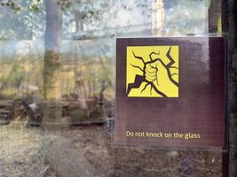 Warning sign displayed on a zoo enclosure window asks visitors not to knock on the glass, featuring a cracked surface and a clenched fist icon in bold yellow and black photo