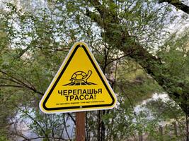 Yellow triangular turtle crossing sign in forest area near water with Russian text warning visitors not to disturb turtles, blending humorous tone with environmental awareness and wildlife protection photo