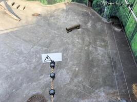 Electric fence installed inside a zoo animal enclosure to ensure safety and prevent direct contact between visitors and animals. A clear example of responsible zoo infrastructure photo