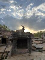 Wild goat with long twisted horns resting on rocky platform inside zoo enclosure during dramatic sunset, symbolizing strength and wilderness under cloudy evening sky with soft glowing light photo