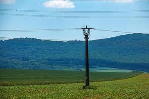 High voltage lines and power pylons in a green landscape on a sunny day with clouds in the blue sky. photo