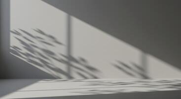 White interior space with sunlight projecting organic leaf patterns on the wall and ground photo