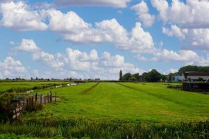 There are meadows and lush fields all around in this rural area of the Netherlands. photo