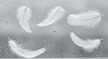 Five Soft White Feathers Gently Floating Down Against Glass Surface photo
