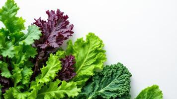 Leaves of Different Kinds for Your Desktop Background or Wallpaper photo