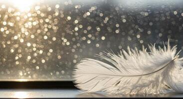 Close Up of White Feather Against a Bokeh Background Effect photo