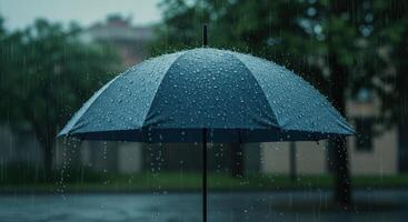 The Solitary Umbrella Against the Heavy Fall Season Raining photo