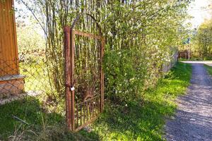 moscow, russia, 10.05.2025 A gate is locked and surrounded by bushes photo