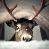 Deer in close-up. Under plaid. Toy horns sticking out. Winter time. photo
