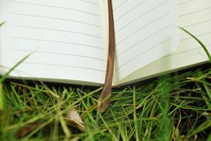 Reading in Nature Open Book with Bookmark on Grass photo