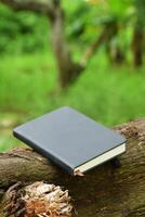Nature Scene with Black Book on Tree Branch photo