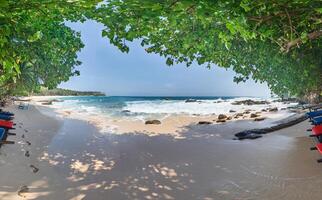 Secluded tropical beach with waves and trees casting shade photo