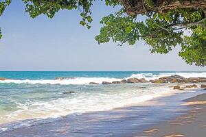 Tropical Silent Beach in Sri Lanka with turquoise sea, palm trees and white sand 7 photo