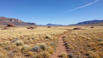 a wide open steppe where the only landmarks are scattered boulders and the wind carving patterns in the grass. photo