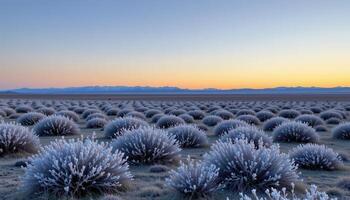 a tundra under the pale light of dusk photo