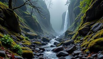 a misty ravine with a hidden stream flowing between moss covered stones and towering cliffs. photo