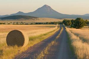 A field with a mountain in the background photo