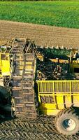Agriculture in the fieldTop View Harvesting sugar beets in the field. In order for sugar beets to be transported, video