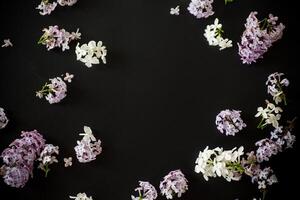 Lilac flower frame on black background with empty space for text. Floral background. photo