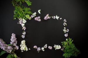 Floral background. Lilac flower frame on black background with empty space for text photo