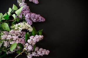 Bouquet of lilacs on a black background with empty space for text photo