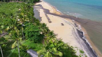 Aerial View of Mirror Beach in Trancoso Bahia in Brazil. Awesome Scenery. video