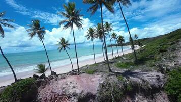 Awesome Coqueirinho Beach in Joao Pessoa Paraiba Brazil.. Amazing Scenery. video