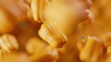Looping animation of a group of bell pepper. Many bell pepper slowly rotate in the background in space. Horizontal composition. Defocus. Close-up. Cycle. video