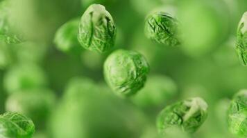 Animation of a group of brussels sprouts. Many brussels sprouts slowly rotate in the background in space. Horizontal composition. Defocus. Close-up. video