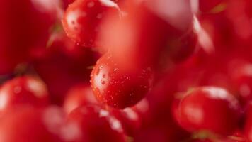 Looping animation of a group of tomato. Many tomatoes slowly rotate in the background in space. Horizontal composition. Defocus. Close-up. Cycle. video