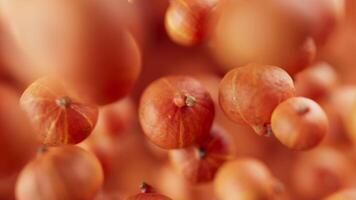 Animation of a group of pumpkins. Many pumpkins slowly rotate in the background in space. Horizontal composition. Defocus. video