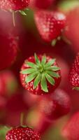 Animation of a group of strawberry. Many strawberry slowly rotate in the background in space. Vertical composition. Defocus. Close-up. video