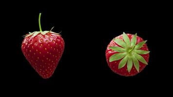 Cyclic rotation of two types of strawberry around their axis. Looping motion. Close-up. Alpha Channel. video