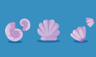 A set of four shells on a blue background vector