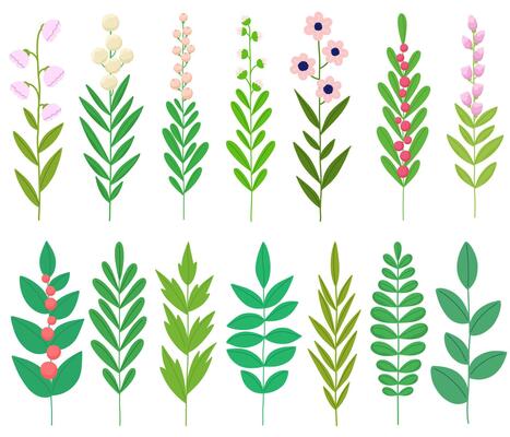 Green twigs and flowering branches collection, plant decorative isolates.