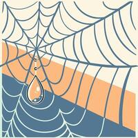 spider web with dew vector
