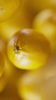 Animation of a group of lemons. Many lemons slowly rotate in the background in space. Vertical composition. Defocus. Close-up. video