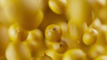 Animation of a group of lemons. Many lemons slowly rotate in the background in space. Horizontal composition. Defocus. Close-up. video
