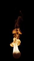 Animation of fire burning. Flame appears on a black background and burns until the end of the . Vertical composition. File contains Alpha Channel. video