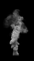 White smoke animation. White smoke appears on a black background and smokes until the end of the . Vertical composition. Alpha Channel. video