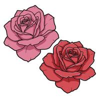 Red rose with skate art elements illustration set for artistic branding and design vector